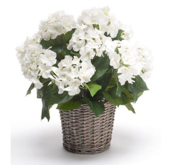 Euroflor | 77380.01 HYRANGEA BASKET 45*35cm Euroflor