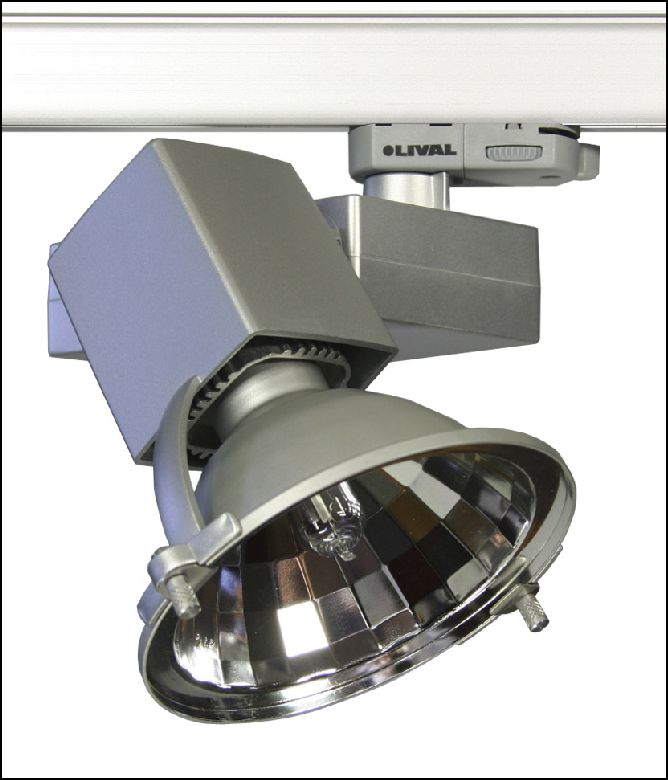 Lival |  / ACTION 70  HCI/WDL  G12       Lival