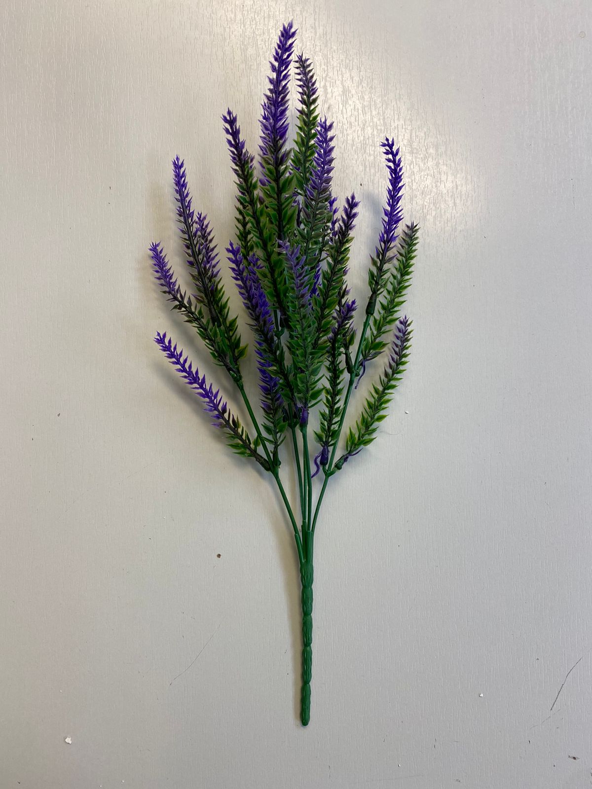 Euroflor | 75318 Lavender Euroflor