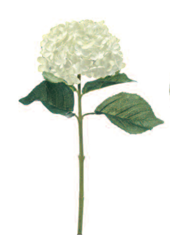 Euroflor | 64600.01 SINGLE GIANT HYDRANGEA Euroflor