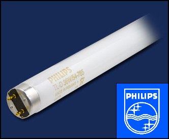 PHILIPS     | G13  L58/830  TL-D   Philips