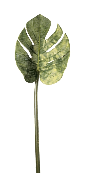 Euroflor | 63313 GOLD MONSTERA LEAF L=67cm Euroflor