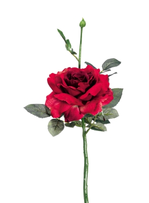 Euroflor | 63595.02 burdeos/rojo Georgia Rose H32cm Euroflor