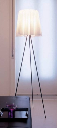 CITILUX