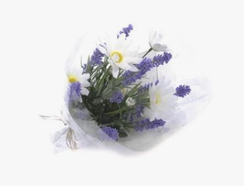 Concoral | 1240600 Ramo Lavanda Margarita 20*45cm Concoral