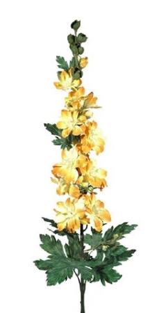 Concoral | 1230119 DELPHINIUM AMARIL.LUXEx27Fx110c Concoral