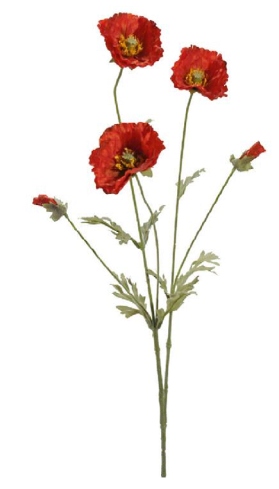 Concoral | 1210635 AMAPOLA ROJA 5 FLORES  ?7X70CM Concoral