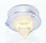 !  |      Xenon14992
