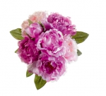 Euroflor | 85721.02 PEONY BOUQUET 20cm Euroflor