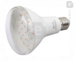 FOTON LIGHTING | E27 R95 15W FITO-15W-Ra90-E27  0039173