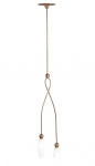 TERZANI | ROSE TULIPE  TERZANI OE66S F6 A3   H152 L23