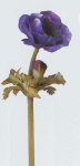 Euroflor | 43802.01 SINGLE ANEMONE H70 Euroflor  
