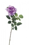 Euroflor | 58413.02 lavanda EQUADOR ROSE STEM H80cm Euroflor