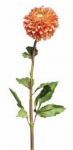 Euroflor | 59461.02 GARDEN DAHLIA L90 Euroflor
