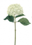 Euroflor | 64600.01 SINGLE GIANT HYDRANGEA Euroflor