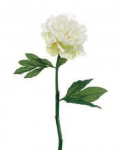 Euroflor | 64535.01 PEONY SPRAY  Euroflor