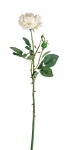 Euroflor | 67737.01 ROSE STEM  L-55cm Euroflor