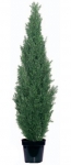 Euroflor | 67018  F  L-150 cm Euroflor