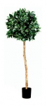 Euroflor | 64171 laurel ball Euroflor