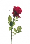 Euroflor | 64585  Rose STEM  Euroflor