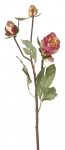 Euroflor | 61101.04 PEONY BUD X 3 SHORT STEM L47 Euroflor
