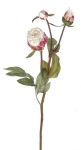 Euroflor | 61101.03 PEONY BUD X 3 SHORT STEM L47 blanco Euroflor