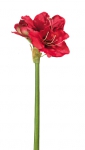 Euroflor | 69171.02   AMARYLLIS SPRAY L=55cm Euroflor