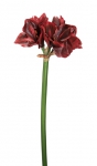 Euroflor | 66185  AMARYLLIS SPRAY WITH 4 FLOWERS AND L=75cm Euroflor