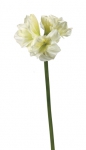 Euroflor | 58562.02 AMARYLLIS STEM L=85cm Euroflor