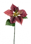 Euroflor | 66292 OH-CHRISTMAS VEINOUS POINSETTIA L=68cm Euroflor