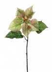 Euroflor | 66292 OH-CHRISTMAS VEINOUS POINSETTIA L=68cm Euroflor