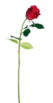 Euroflor | 68579 HYBRID ROSE SINGLE STEM W/2 SET L=55cm Euroflor