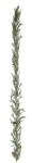 Euroflor | 55302 PLASTIC PRICKLY PINE GARLAND W/CONES L=180cm Euroflor