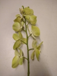 Euroflor | 62894.03 verde/magenta PHALAENOPSIS STEM X 1 Euroflor