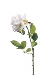 Euroflor | 64585.01  Rose STEM  Euroflor