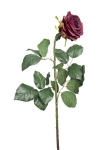 Euroflor | 66309 SINGLE STEM W/4 SET Euroflor
