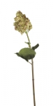 Euroflor | 57209.03 verde Hydrangea giant H98cm Euroflor
