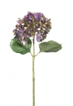 Euroflor | 65913.02 purp/vde Hydrangea Stem H65cm Euroflor