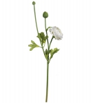 Euroflor | 66747.01 blanco  RANUNCULUS STEM Euroflor