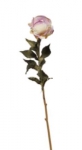 Euroflor | 45569 crema/orchid Euroflor