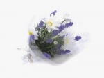 Concoral | 1240600 Ramo Lavanda Margarita 20*45cm Concoral