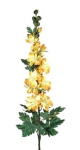 Concoral | 1230119 DELPHINIUM AMARIL.LUXEx27Fx110c Concoral