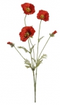 Concoral | 1210635 AMAPOLA ROJA 5 FLORES  ?7X70CM Concoral