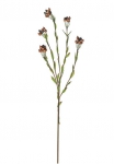 Euroflor | 59073 WOOD BERRY STEM H=80cm Euroflor