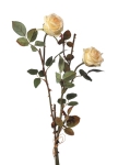 Euroflor | 54362.02 Rose X2 bianco H60cm Euroflor