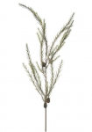 Euroflor | 55360 SPRUNCE STEM Euroflor
